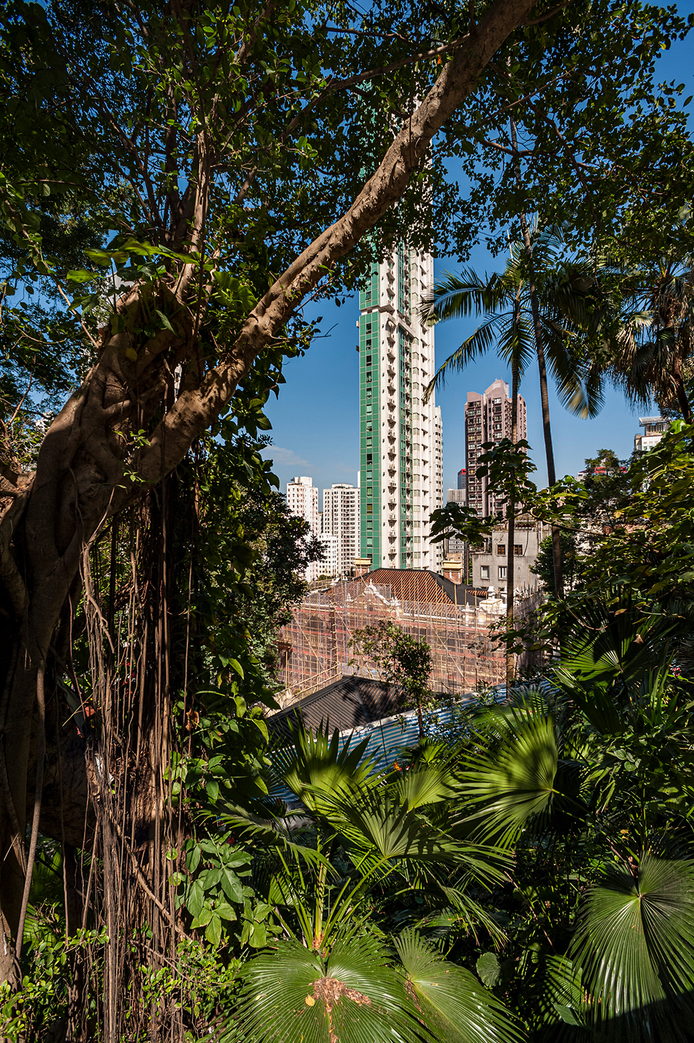 Hongkong__ASC0710_schulthess foto