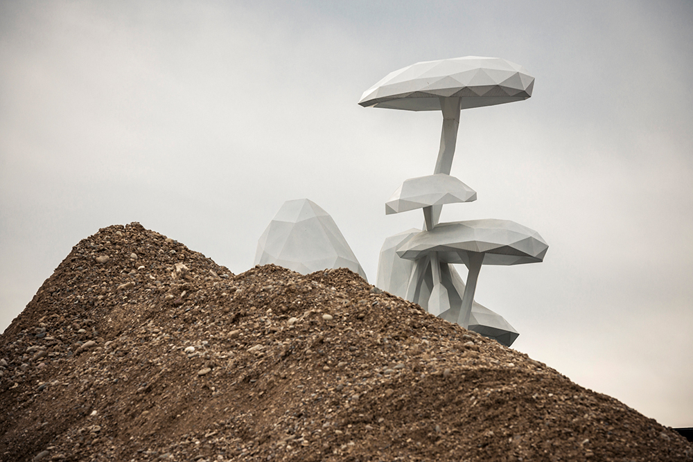 _DSC0886_180224_%28c%29schulthess foto.ch