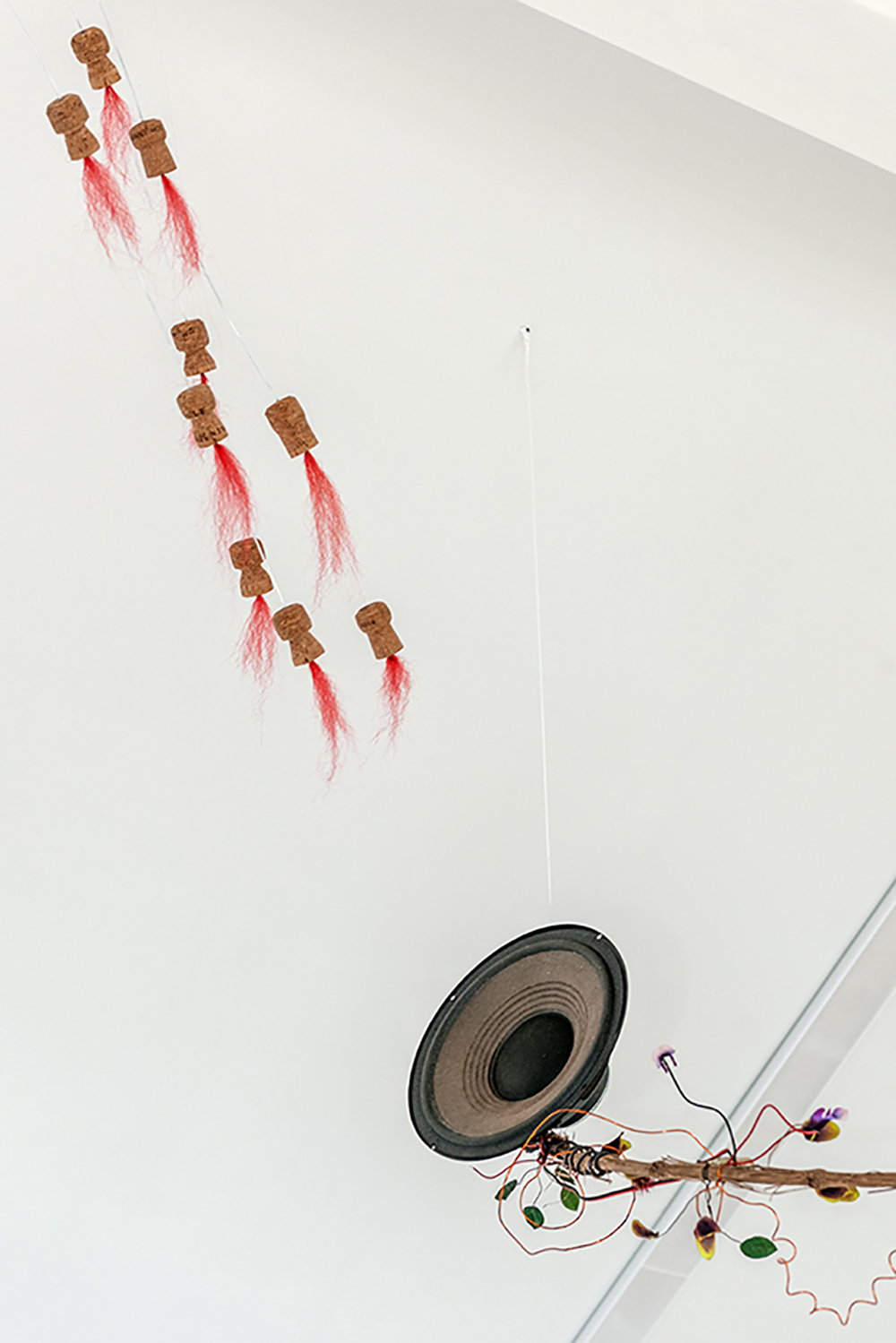 _DSC8173_180118_%28c%29schulthess foto.ch